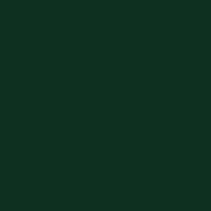 Colore Verde RAL 6005 Grinz